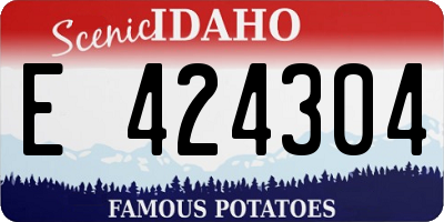 ID license plate E424304