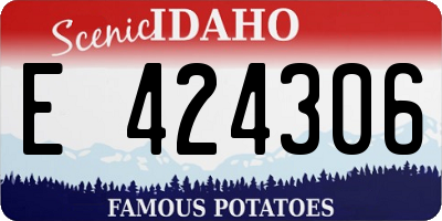 ID license plate E424306