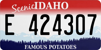 ID license plate E424307