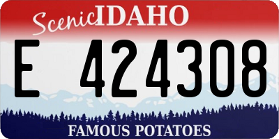 ID license plate E424308