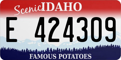 ID license plate E424309