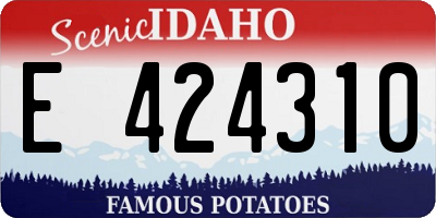 ID license plate E424310