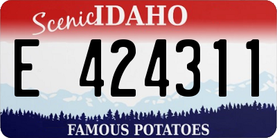 ID license plate E424311