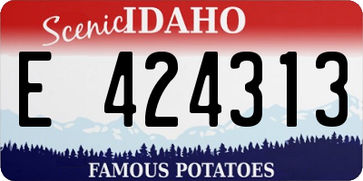 ID license plate E424313