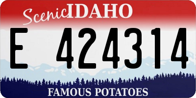 ID license plate E424314