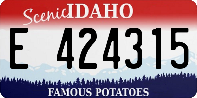 ID license plate E424315