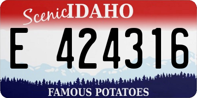 ID license plate E424316
