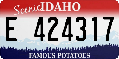 ID license plate E424317