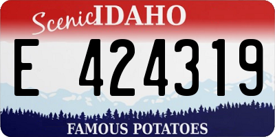ID license plate E424319