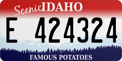 ID license plate E424324