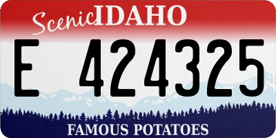 ID license plate E424325