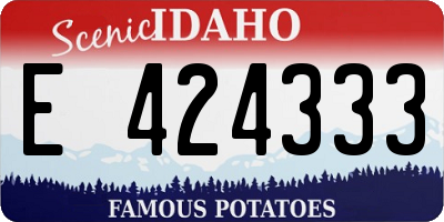 ID license plate E424333