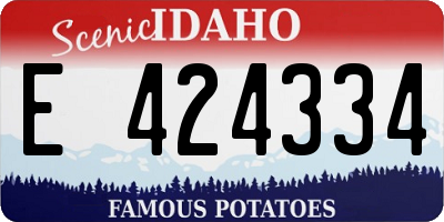 ID license plate E424334