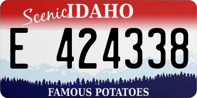 ID license plate E424338