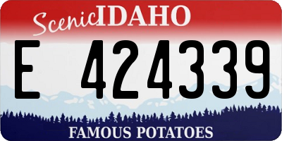 ID license plate E424339