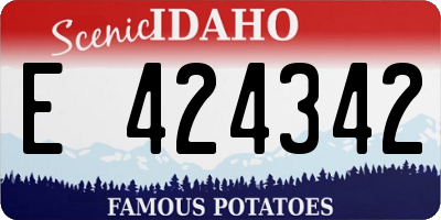 ID license plate E424342