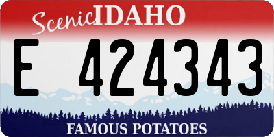 ID license plate E424343