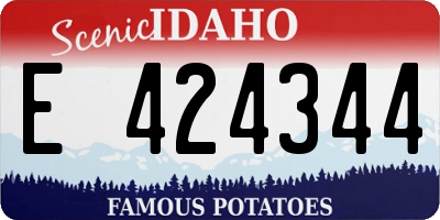 ID license plate E424344