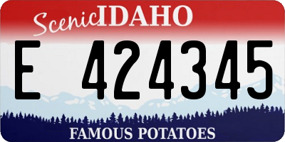 ID license plate E424345