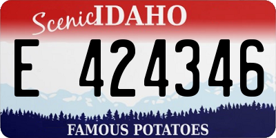 ID license plate E424346