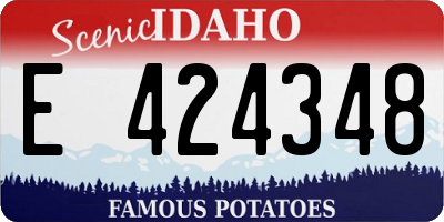 ID license plate E424348