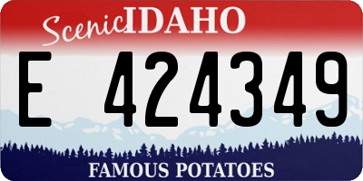 ID license plate E424349