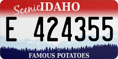 ID license plate E424355