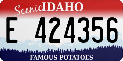 ID license plate E424356
