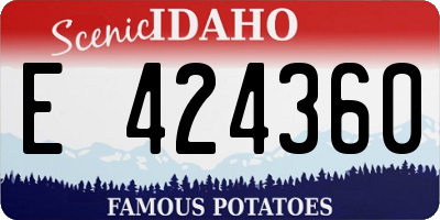 ID license plate E424360