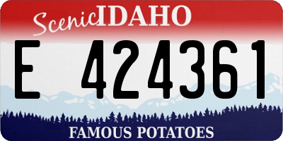 ID license plate E424361