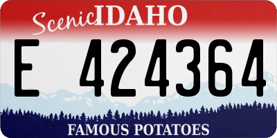 ID license plate E424364