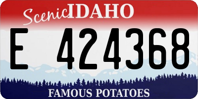 ID license plate E424368