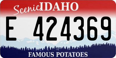 ID license plate E424369