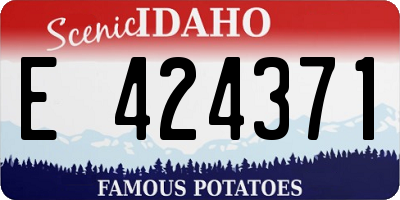 ID license plate E424371