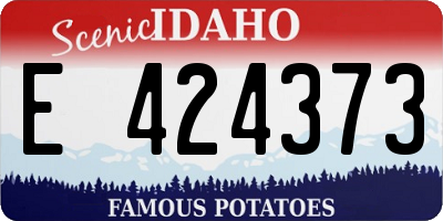 ID license plate E424373