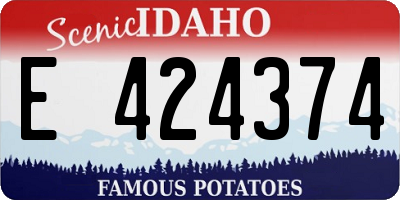 ID license plate E424374