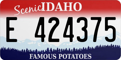ID license plate E424375
