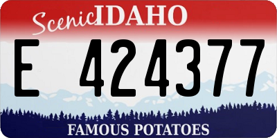 ID license plate E424377