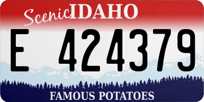 ID license plate E424379