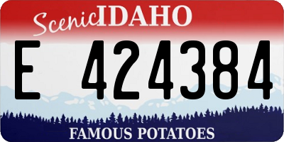 ID license plate E424384