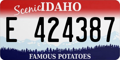 ID license plate E424387