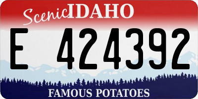ID license plate E424392