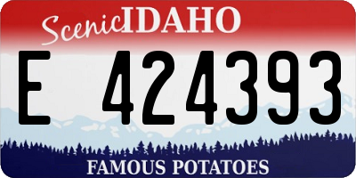 ID license plate E424393