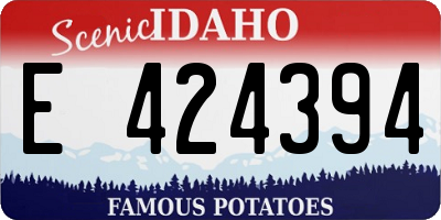 ID license plate E424394