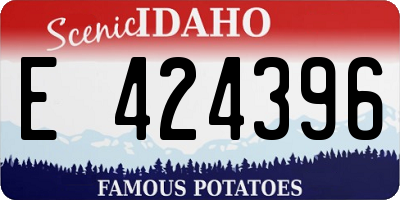 ID license plate E424396