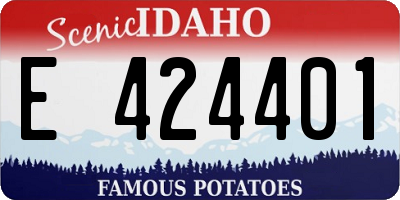 ID license plate E424401