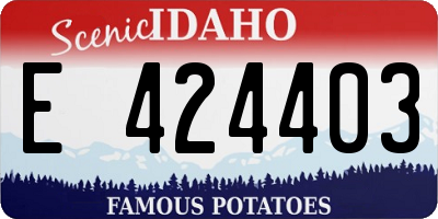 ID license plate E424403