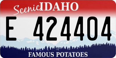 ID license plate E424404