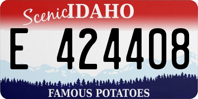 ID license plate E424408