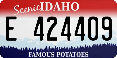 ID license plate E424409